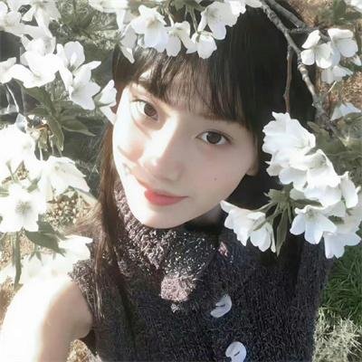 欧栗树